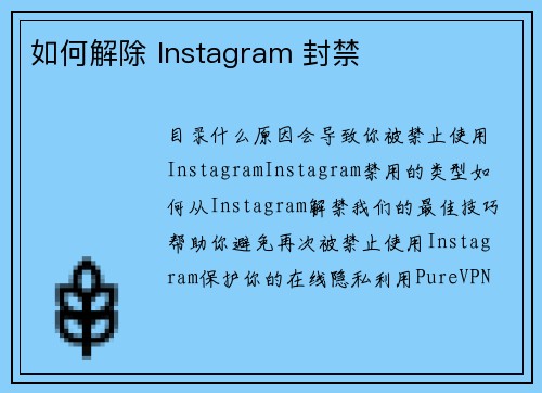 如何解除 Instagram 封禁 
